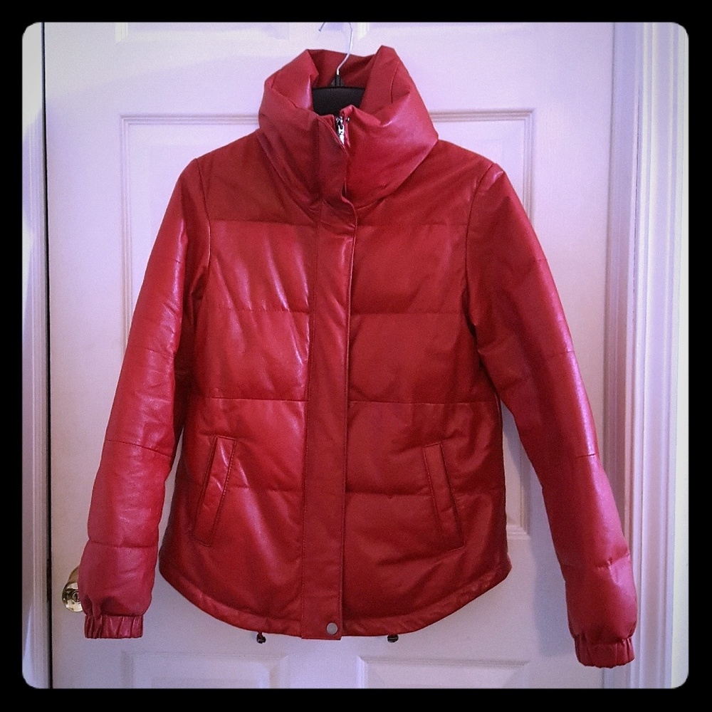 Danier Leather Down Winter Coat